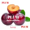 Lovoy -Prince Of Belize - Plum - Single